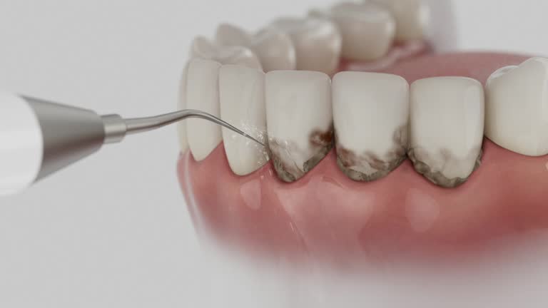Reliable Dental contractor in Iuka, MS by Dentist Open Now
